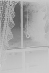 [Curtain On Window And View Outside, Plymouth, Massachusetts]