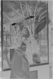 [Julia Feininger In Front Of Shop Window, Plymouth, Massachusetts]