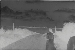 [Julia Feininger Walking Down Road To Water?]