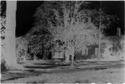 [Front View Of House And Trees]