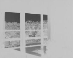 [Window View]