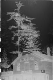 [Tree Above House, New England]