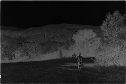 [Julia Feininger Looking At View, Near Falls Village, Connecticut]