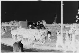 [Group On Decorated Horse Drawn Cart]