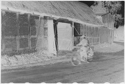 [Man On Bike By Barn Near Triebs, Baltic Coast]