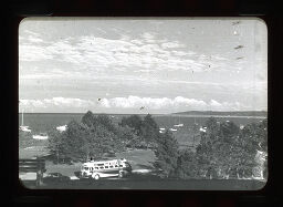 [View Of Trees And Shore, Plymouth, Massachusetts]