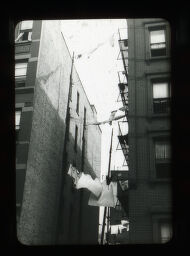 [Buildings And Clotheslines, New York]