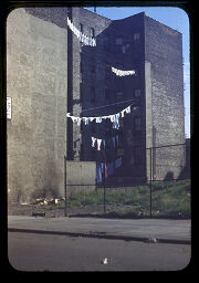 At 86Th Street, Washing Drying [New York]