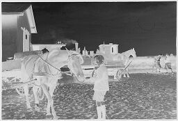 [Boy With Horse And Buggie]