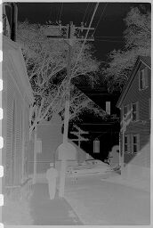 [Man Walking Down Street With Utility Lines, New England]