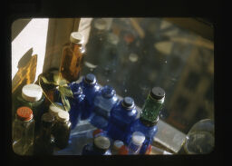 Bottles In Window