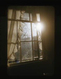 [Window]
