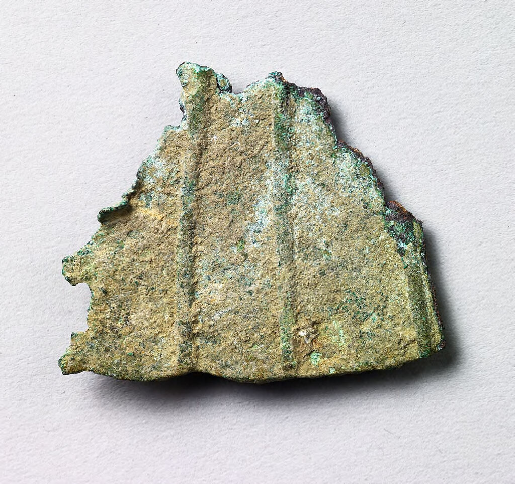 Large Disc Fibula Fragment