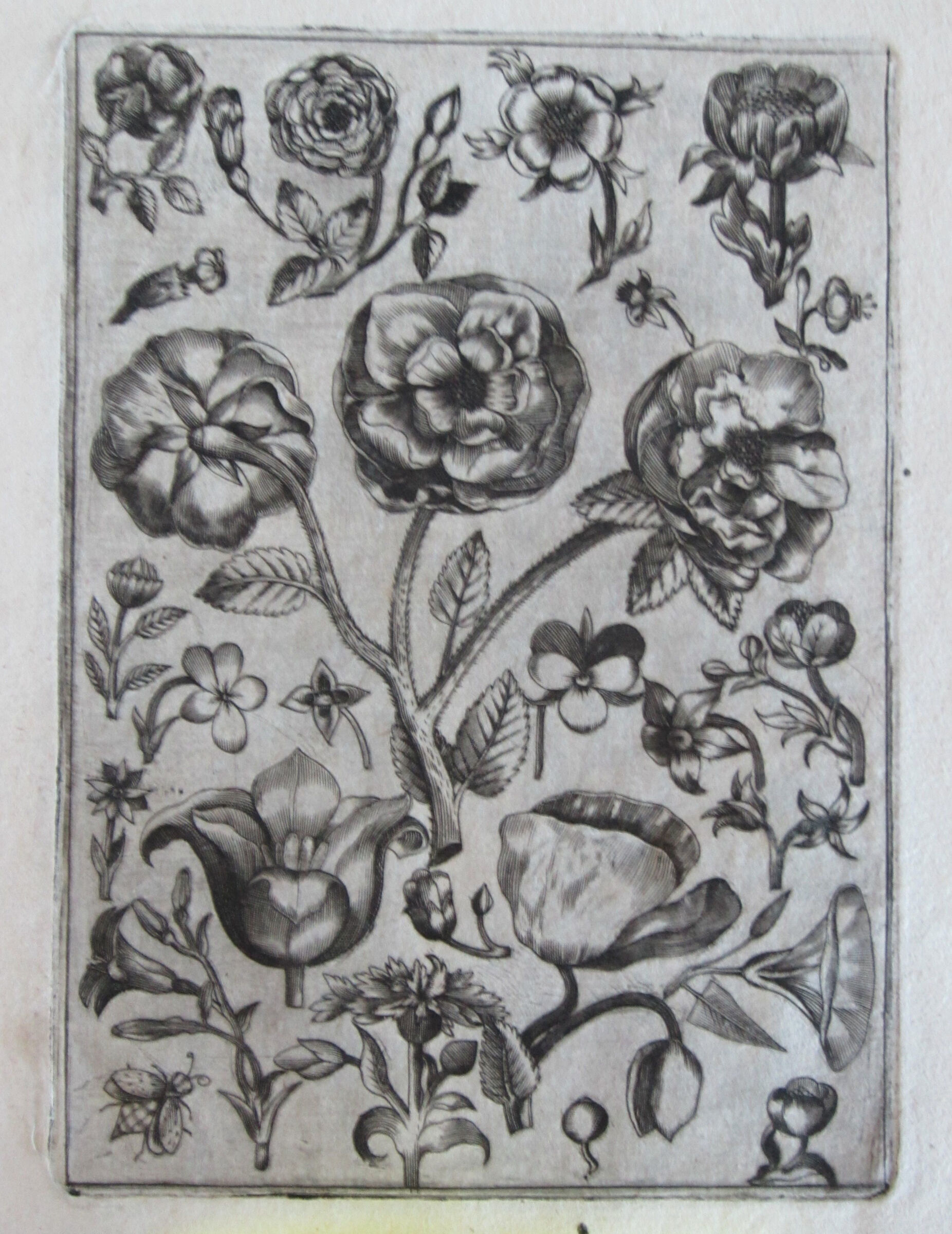 Flowers, With Three Rose Blossoms In The Center And A Bee At The Lower Left