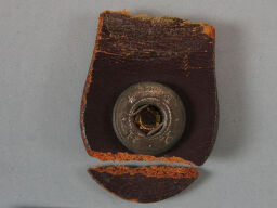 Fragment From Leather Lens Case
