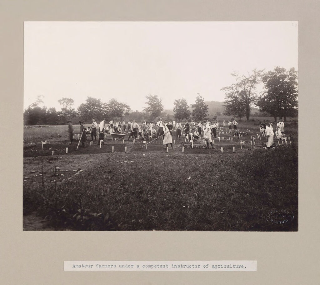 Charity, Children: United States. New York. Pleasantville. Hebrew Sheltering Guardian Society: Hebrew Sheltering Guardian Society Orphan Asylum, Pleasantville, New York: Amateur Farmers Under A Competent Instructor Of Agriculture.