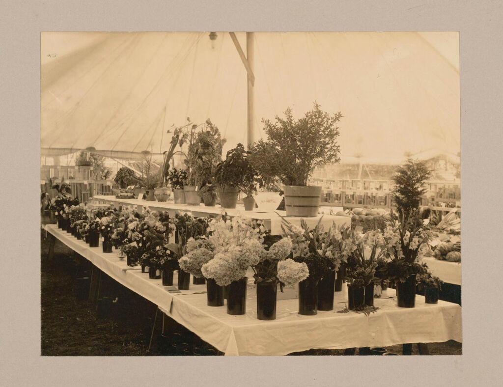 Industrial Problems, Welfare Work: United States. Massachusetts. North Plymouth. Plymouth Cordage Company: Plymouth Cordage Company, North Plymouth, Mass. Welfare Institutions: Exhibit Of Flowers And Vegetables Grown By The Employees In Their Own Gardens - Plymouth Cordage Co., North Plymouth Mass.