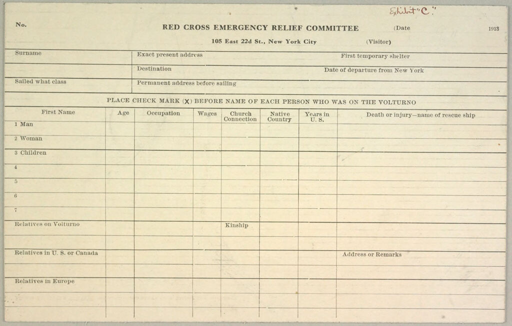 Charity, Public: United States. New York. New York City. American National Red Cross: American National Red Cross Emergency Relief. Investigation And Record Blanks: Exhibit C