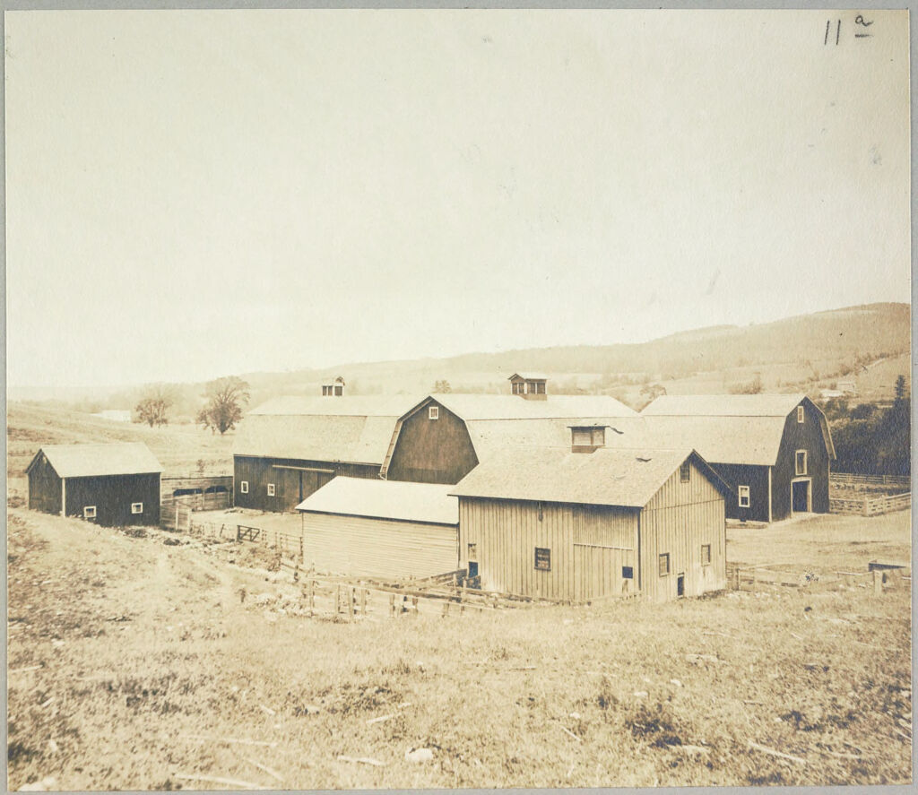 Charity, Public: United States. New York. Angelica. Allegany County Almshouse: Almshouses Of Allegany County, N.y.: Barns.