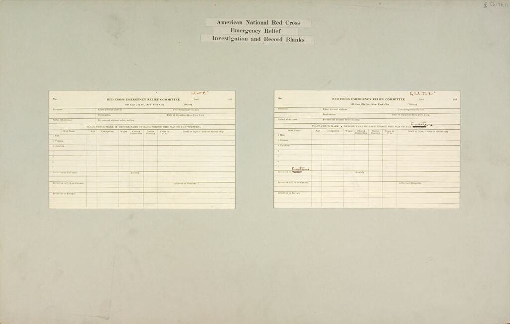 Charity, Public: United States. New York. New York City. American National Red Cross: American National Red Cross Emergency Relief. Investigation And Record Blanks
