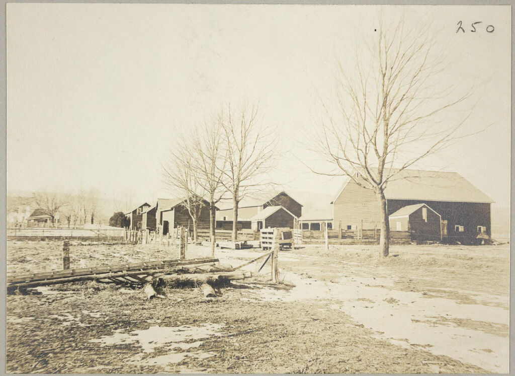 Charity, Public: United States. New York. New Paltz. Ulster County Almshouse: Almshouses Of Ulster County, N.y.: Barns