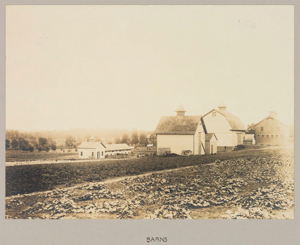 Charity, Public: United States. New York. Rochester. Munroe County Almshouse: Almshouses Of Munroe County, N.y.: Barns