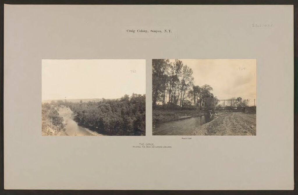 Defectives, Epileptics: United States. New York. Sonyea: Craig Colony: Craig Colony, Sonyea, N.y.: The Gorge Dividing The Men's And Women's Grounds