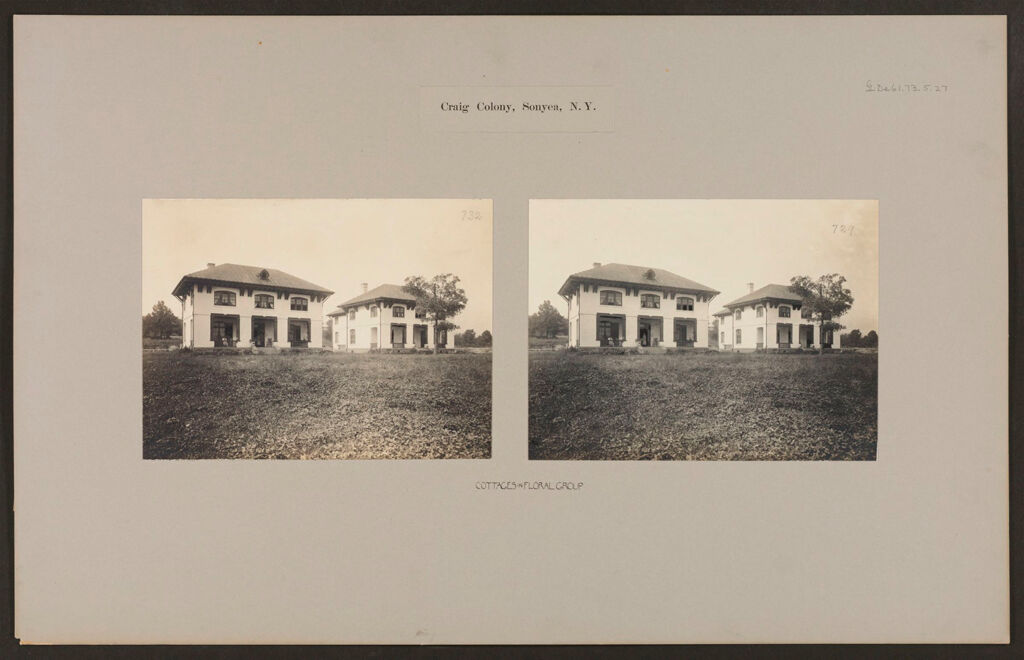 Defectives, Epileptics: United States. New York. Sonyea. Craig Colony: Craig Colony, Sonyea, N.y.: Cottages In Floral Group