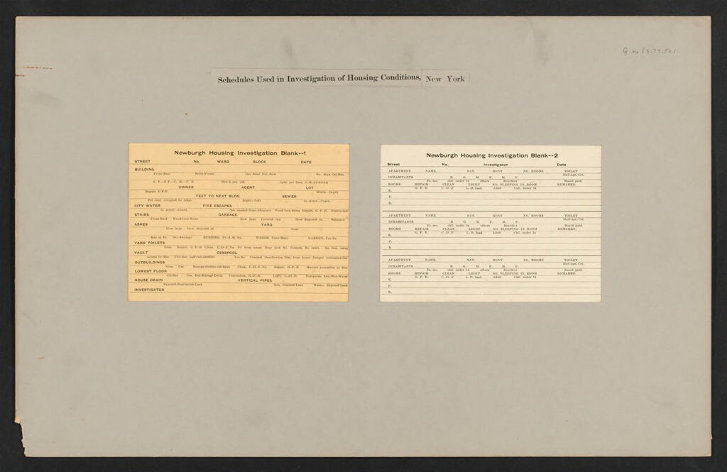 Housing, Government: United States. New York. Newburgh: Schedules Used In Investigation Of Housing Conditions, New York