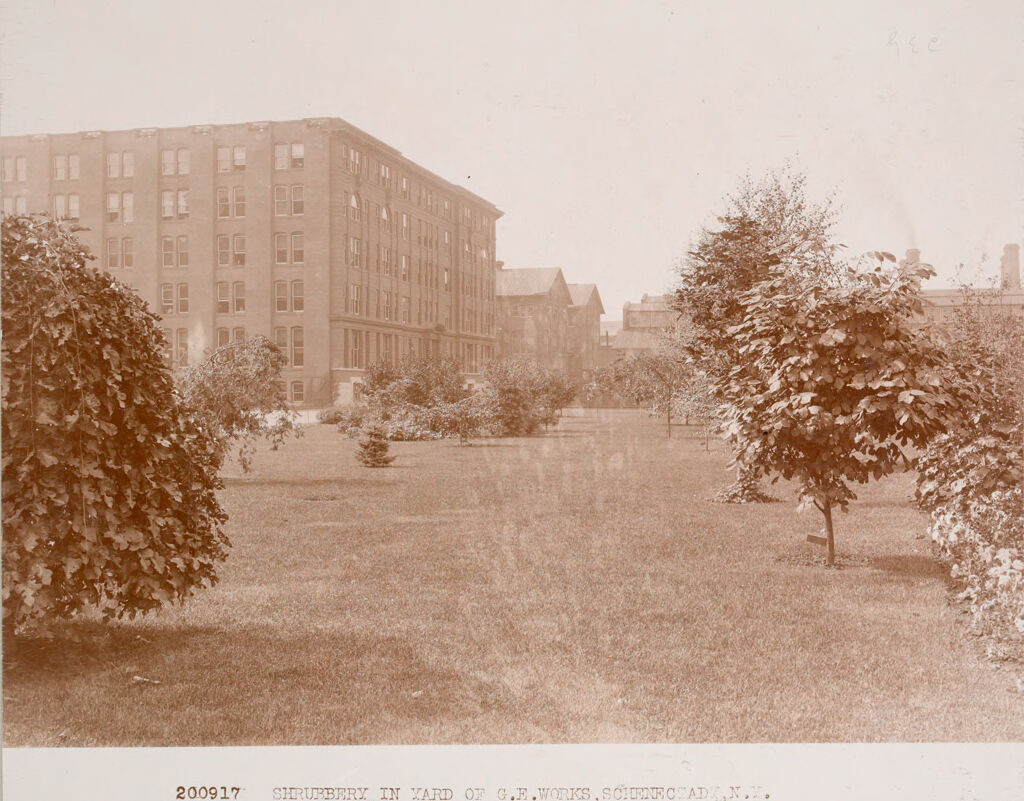 Industrial Problems, Welfare Work: United States. New York. Schenectady. General Electric Company: Welfare Of Employees At The Factory: Welfare Institutions. General Electric Co., Schenectady, N.y.: 200917 Shrubbery In Yard Of G.e.works, Schenectady, N.y.