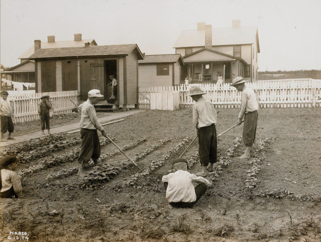Industrial Problems, Welfare Work: United States: Welfare And Educational Work For The Families Of Employees: Boys Learning The Art Of Gardening At The Model Home.