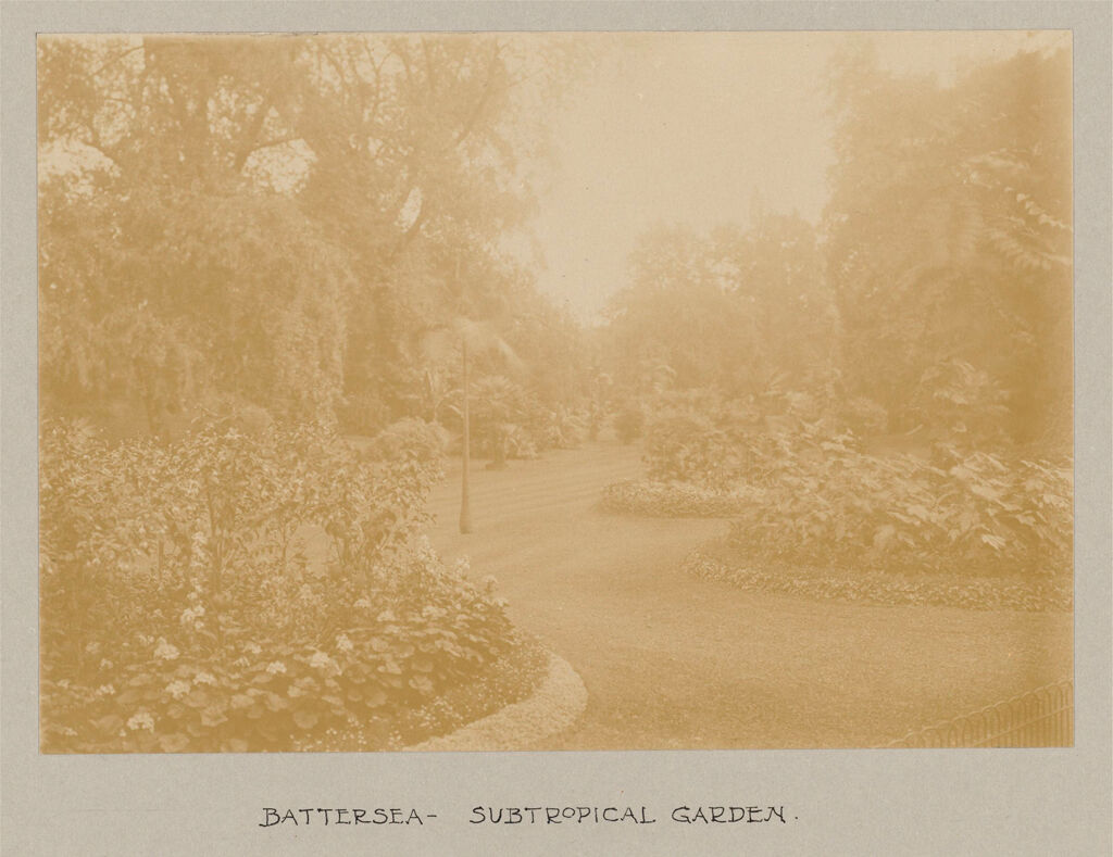 Recreation, Parks And Playgrounds: Great Britain, England. London. Playgrounds And Parks: Social Conditions In London, England, 1903: Battersea - Subtropical Garden.