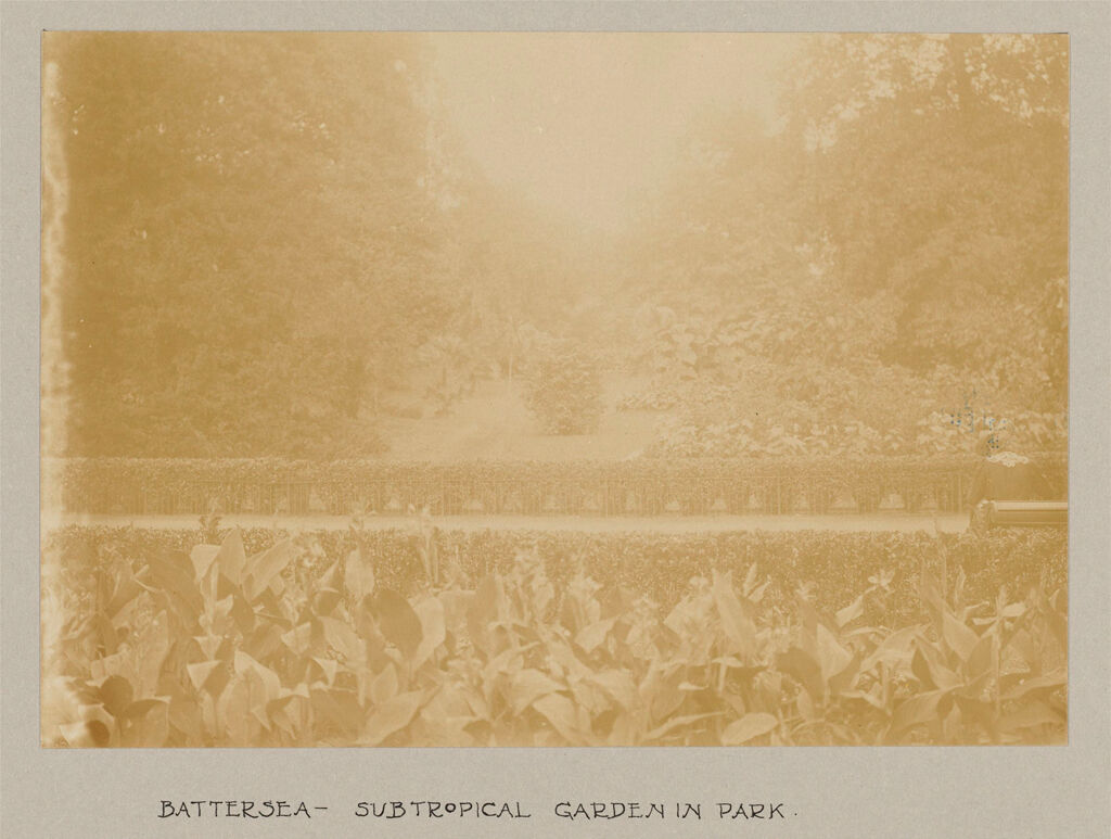 Recreation, Parks And Playgrounds: Great Britain, England. London. Playgrounds And Parks: Social Conditions In London, England, 1903: Battersea - Subtropical Garden In Park.