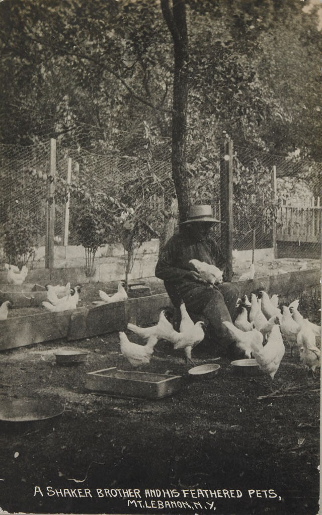 Social Revolution (?): United States. New York. Mt. Lebanon. Shaker Communities: Shaker Communities, United States: A Shaker Brother And His Feathered Pets, Mt. Lebanon, N.y.