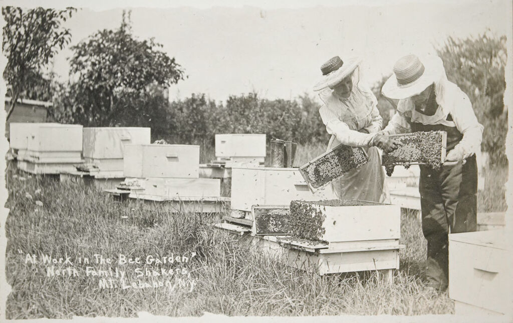 Social Revolution (?): United States. New York. Mt. Lebanon. Shaker Communities: Shaker Communities, United States: At Work In The Bee Garden, North Family Shakers, Mt. Lebanon, N.y.