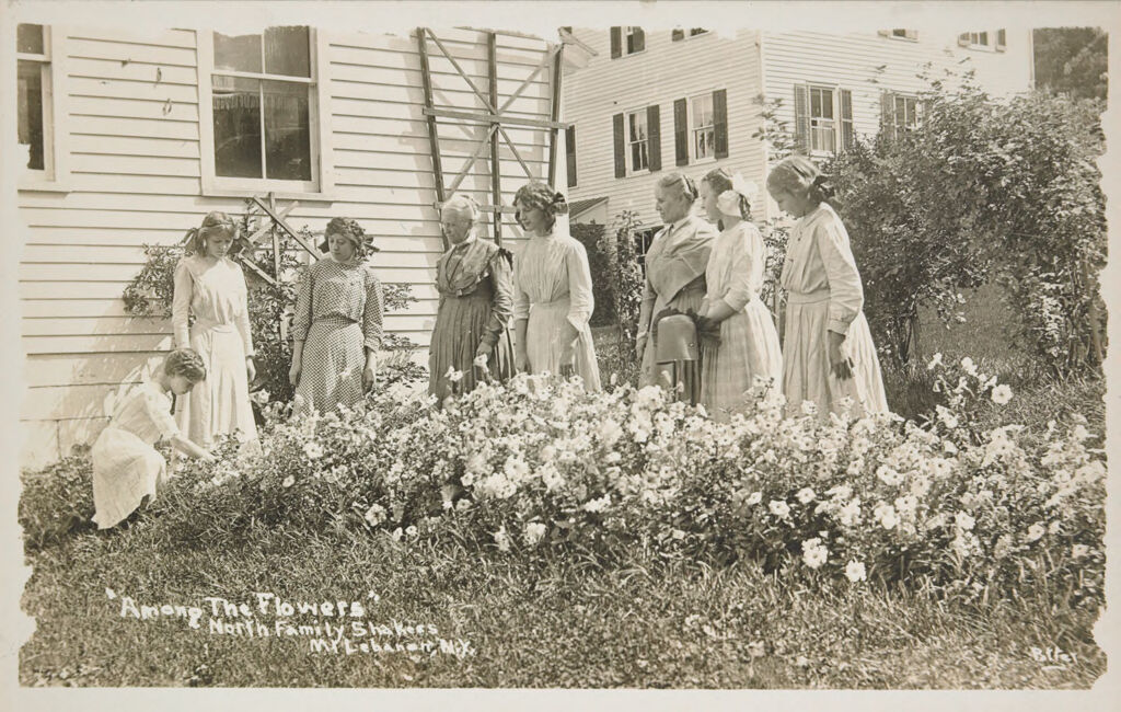 Social Revolution (?): United States. New York. Mt. Lebanon. Shaker Communities: Shaker Communities, United States: Among The Flowers, North Family Shakers, Mt. Lebanon, N.y.