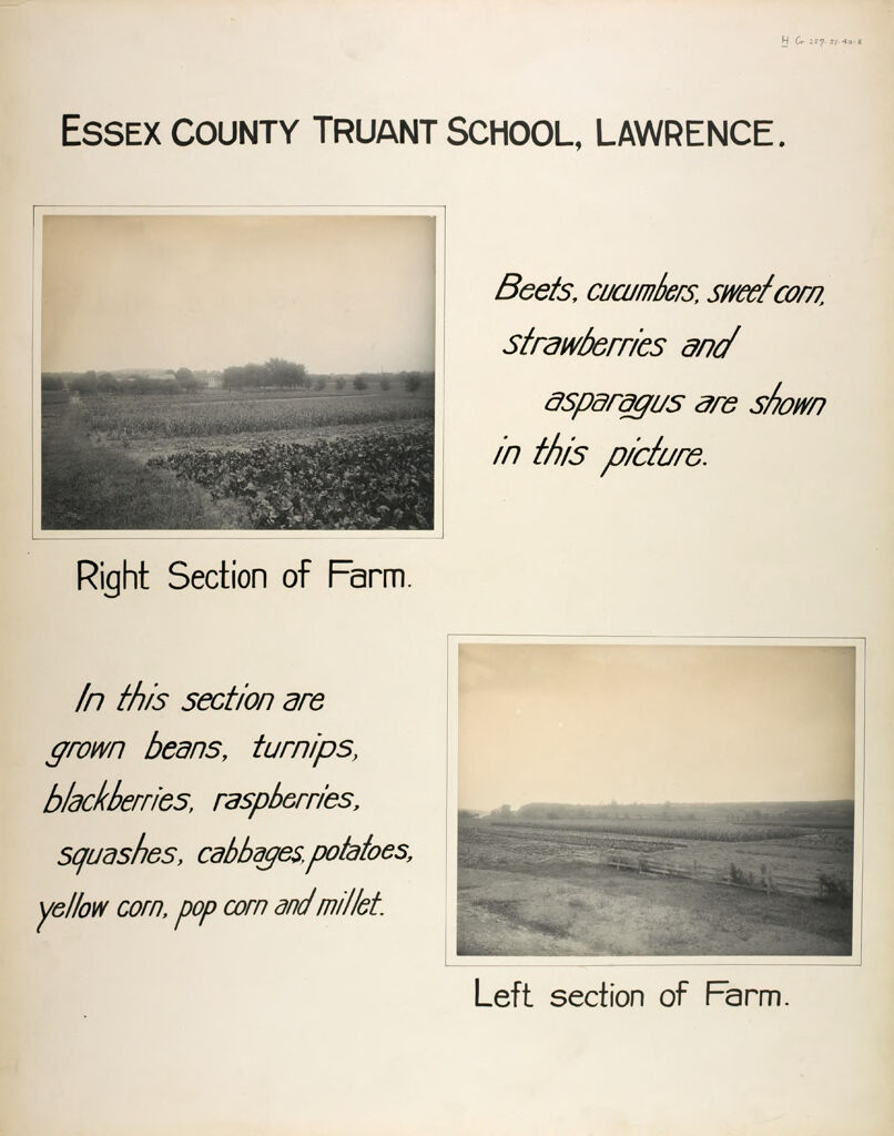 Crime, Children, Truant Schools: United States. Massachusetts. Lawrence. Essex County Truant School: Essex County Truant School, Lawrence.