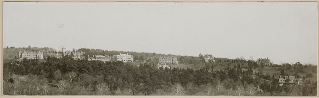 Defectives, Insane: United States. Massachusetts. Waverly. Mclean Hospital: Mclean Hospital: General View Of Grounds And Houses
