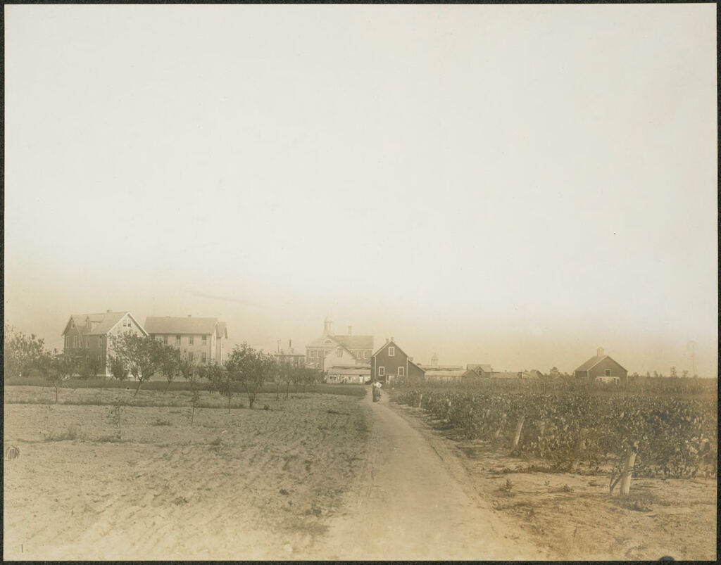 Races, Jews: United States. New Jersey. Woodbine. Baron De Hirsch Agricultural And Industrial School: Woodbine Settlement And School, Woodbine, N.j. Baron De Hirsch Fund.: 129. Another View Of School Buildings.