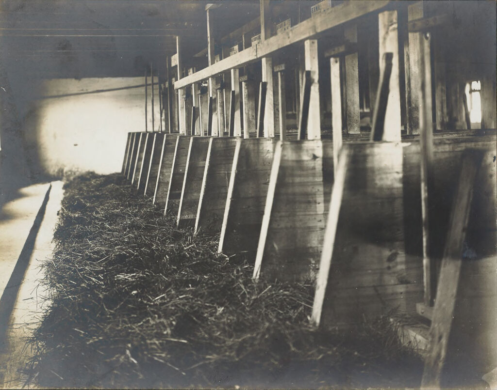 Races, Jews: United States. New Jersey. Woodbine. Baron De Hirsch Agricultural And Industrial School: Woodbine Settlement And School, Woodbine, N.j. Baron De Hirsch Fund.: 136. Interior Of Dairy Stables.