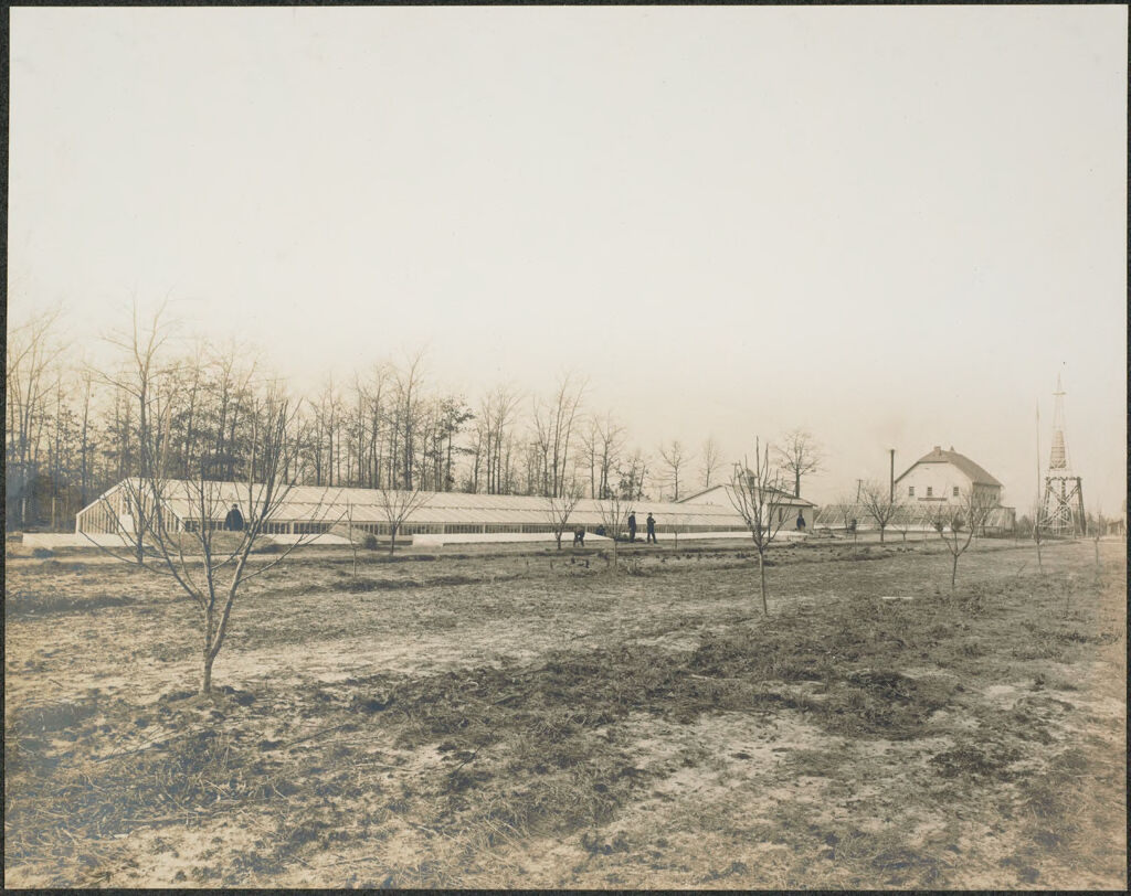 Races, Jews: United States. New Jersey. Woodbine. Baron De Hirsch Agricultural And Industrial School: Woodbine Settlement And School, Woodbine, N.j. Baron De Hirsch Fund.: 178. General View Of Greenhouses.