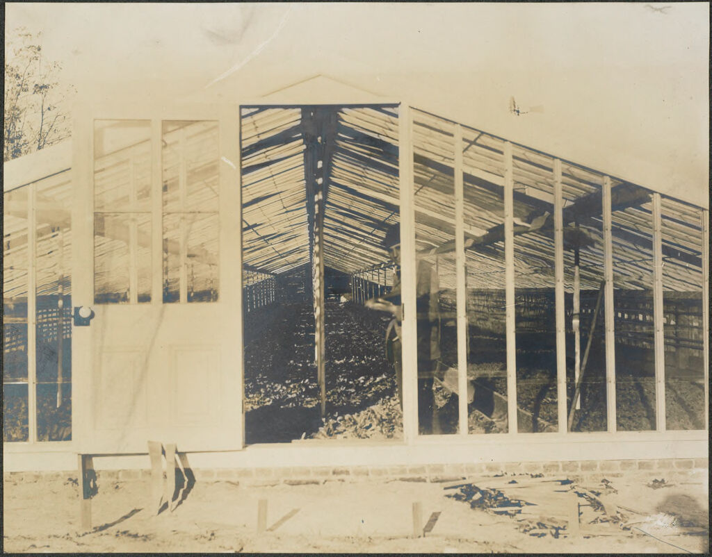 Races, Jews: United States. New Jersey. Woodbine. Baron De Hirsch Agricultural And Industrial School: Woodbine Settlement And School, Woodbine, N.j. Baron De Hirsch Fund.: 180. Interior Of Forcing House.