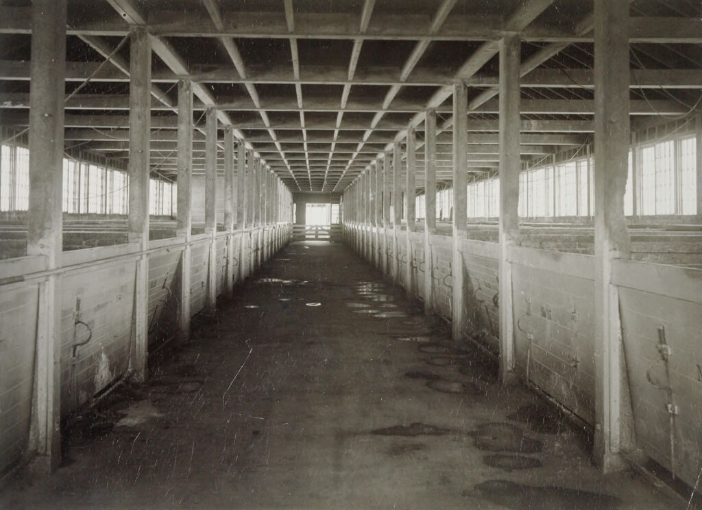 Defectives, Insane: United States. New Hampshire. Concord. State Hospital: New Hampshire State Charitable And Correctional Institutions.: New Hampshire State Hospital. Farm Colony.: The Piggery - Interior.