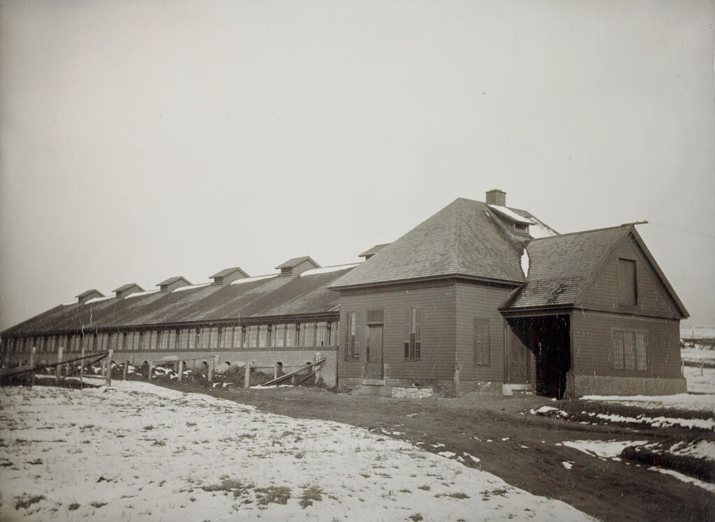 Defectives, Insane: United States. New Hampshire. Concord. State Hospital: New Hampshire State Charitable And Correctional Institutions.: New Hampshire State Hospital. Farm Colony.: The Piggery.