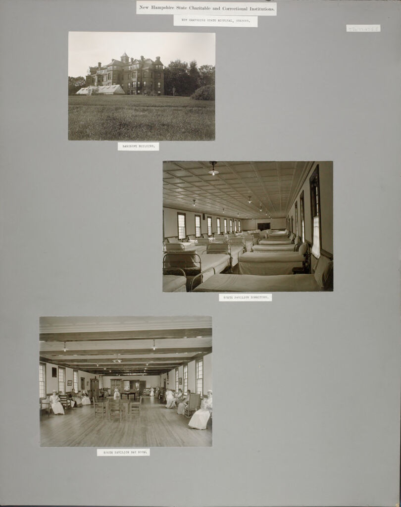 Defectives, Insane: United States. New Hampshire. Concord. State Hospital: New Hampshire State Charitable And Correctional Institutions.: New Hampshire State Hospital, Concord.