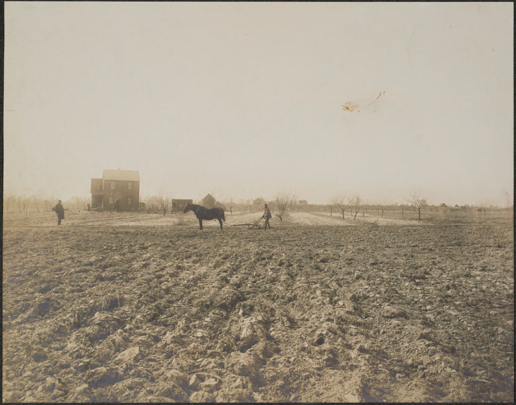 Races, Jews: United States. New Jersey. Woodbine. Baron De Hirsch Agricultural And Industrial School: Woodbine Settlement And School, Woodbine, N.j. Baron De Hirsch Fund.: 34. Farmers At Work.