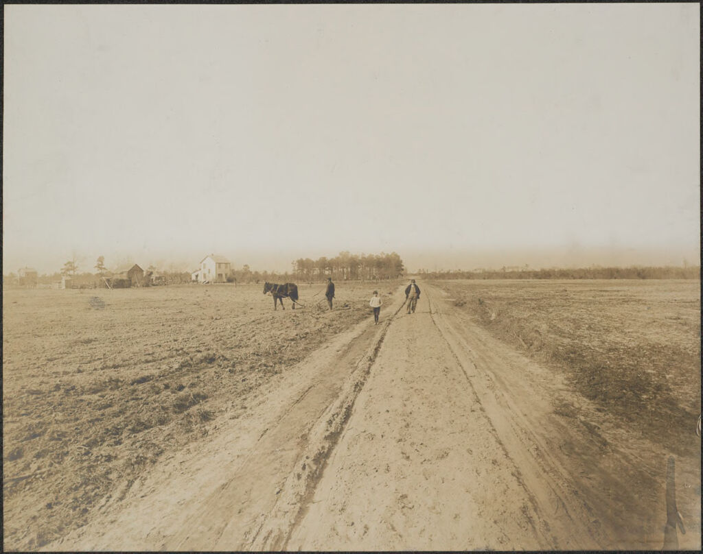 Races, Jews: United States. New Jersey. Woodbine. Baron De Hirsch Agricultural And Industrial School: Woodbine Settlement And School, Woodbine, N.j. Baron De Hirsch Fund.: 36. A Group Of Farms.