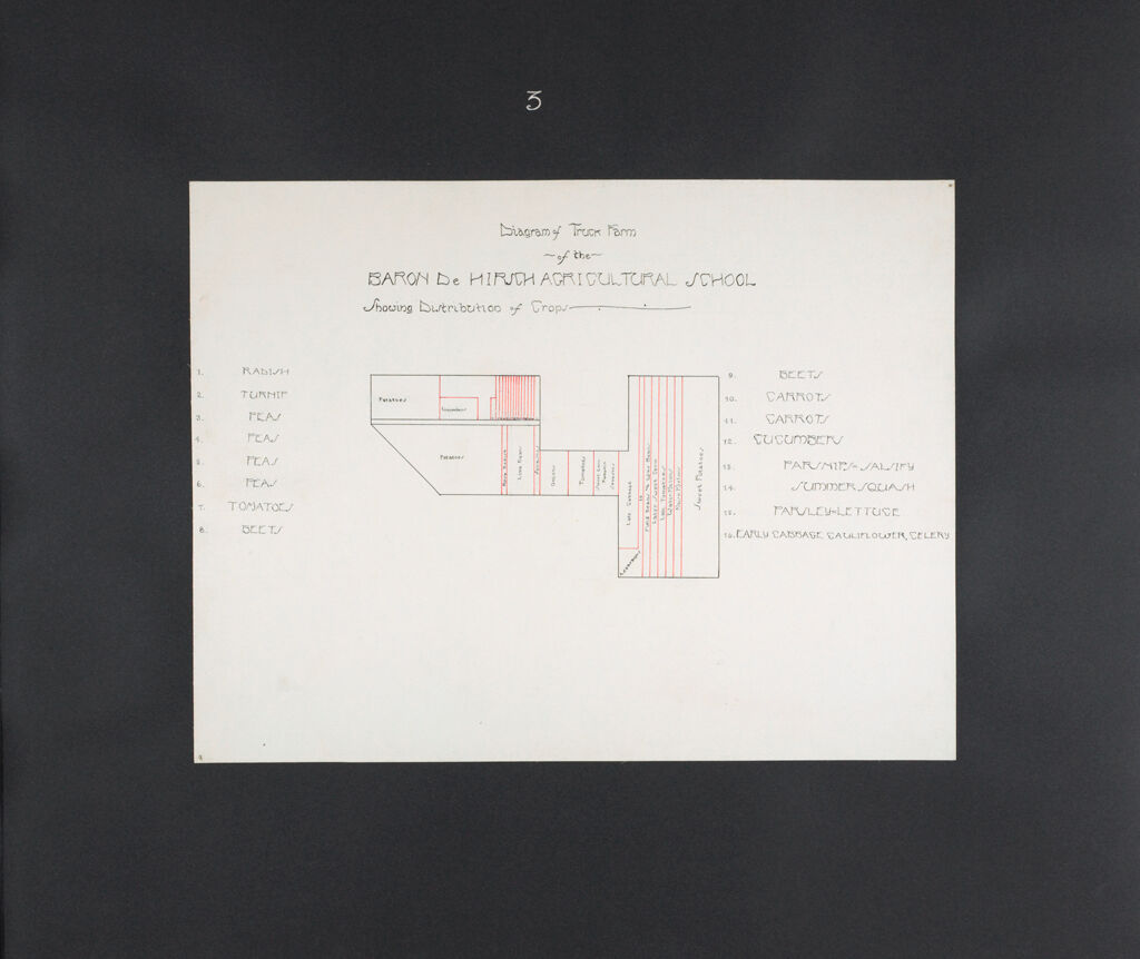 Races, Jews: United States. New Jersey. Woodbine. Baron De Hirsch Agricultural And Industrial School: Woodbine Settlement 1891 - 1904: Exhibit Vi: Diagram Of Truck Farm Of The Baron De Hirsch Agricultural School Showing Distribution Of Crops.