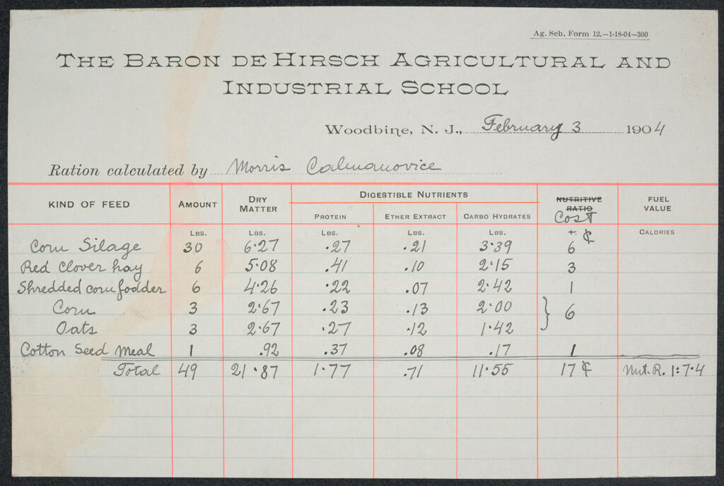 Races, Jews: United States. New Jersey. Woodbine. Baron De Hirsch Agricultural And Industrial School: Woodbine Settlement 1891 - 1904: Exhibit Vi: The Baron De Hirsch Agricultural And Industrial School: Ration Calculated By Morris Colusnovice[?]