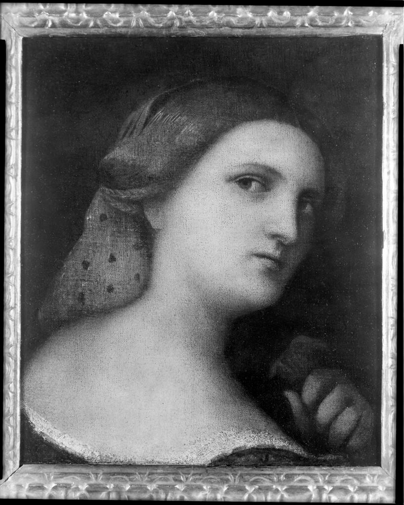 Bust Of A Young Woman
